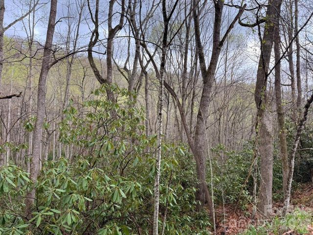 000 Ridgeview Drive, Hendersonville, NC 28791
