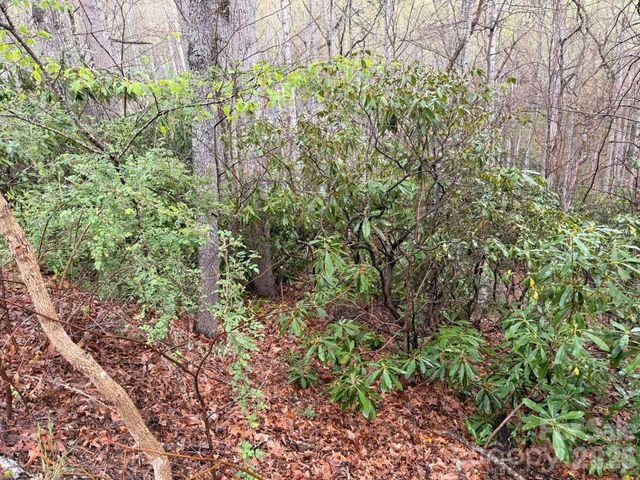 000 Ridgeview Drive, Hendersonville, NC 28791