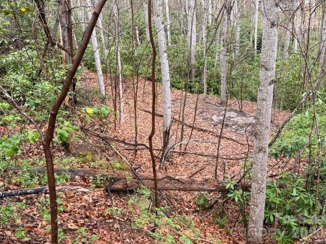 000 Ridgeview Drive, Hendersonville, NC 28791