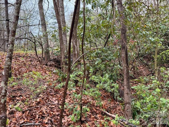 000 Ridgeview Drive, Hendersonville, NC 28791