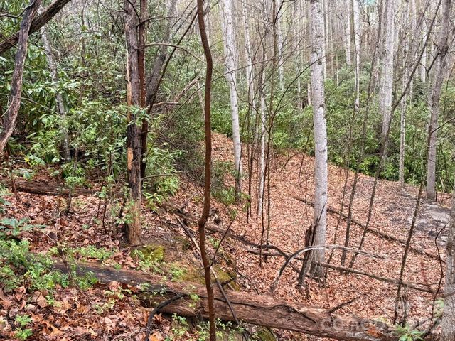000 Ridgeview Drive, Hendersonville, NC 28791