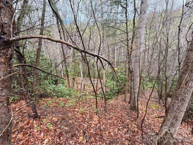 000 Ridgeview Drive, Hendersonville, NC 28791