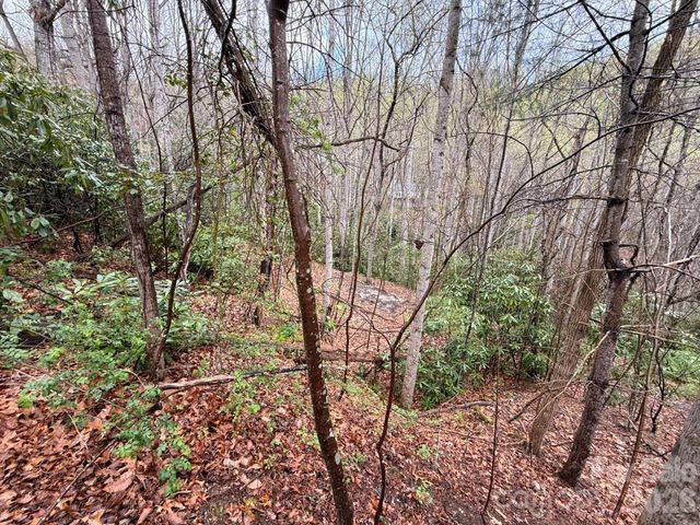 000 Ridgeview Drive, Hendersonville, NC 28791
