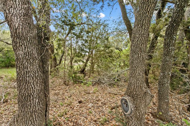 107 E. Flying Owl DR, Johnson City, TX 78636