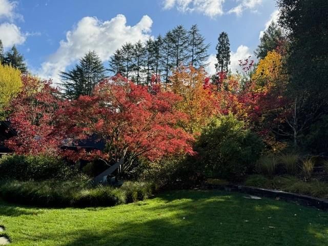 160 Phillip Road, Woodside, CA 94062