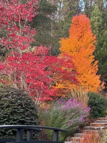 160 Phillip Road, Woodside, CA 94062