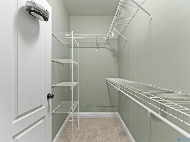 17902 Watercress Drive, Athens, AL 35611