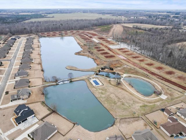 17902 Watercress Drive, Athens, AL 35611