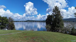 Tract 4 Pinewood Drive, Langston, AL 35755