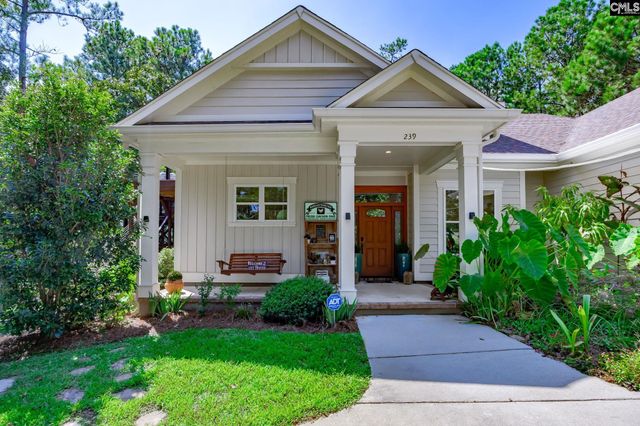 239 Pebblebranch Drive, Chapin, SC 29036