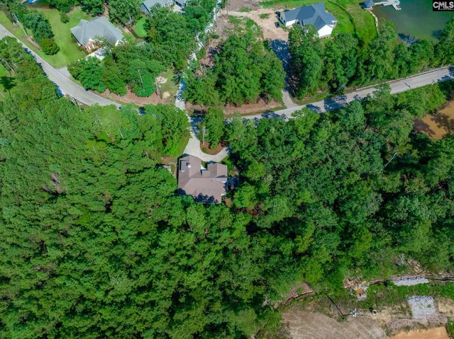 239 Pebblebranch Drive, Chapin, SC 29036