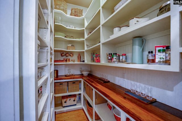 239 Pebblebranch Drive, Chapin, SC 29036