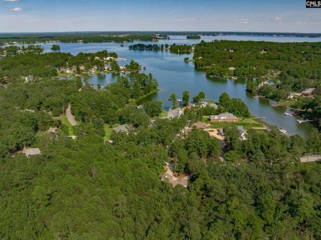 239 Pebblebranch Drive, Chapin, SC 29036