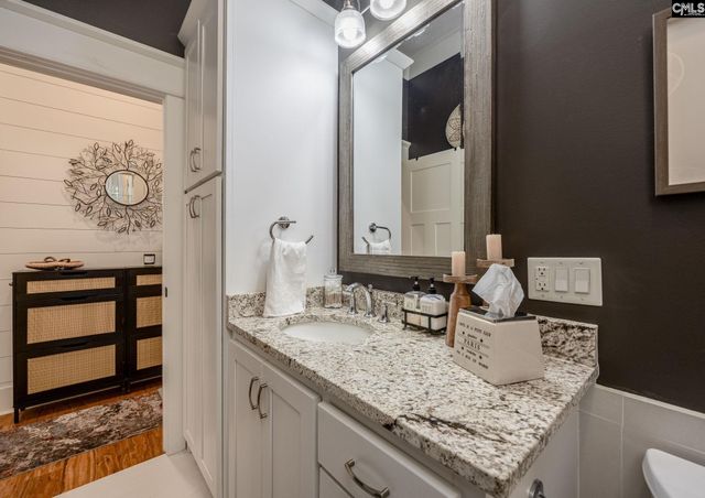 239 Pebblebranch Drive, Chapin, SC 29036