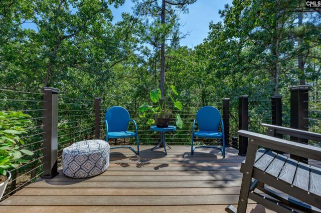 239 Pebblebranch Drive, Chapin, SC 29036