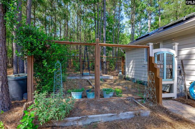 239 Pebblebranch Drive, Chapin, SC 29036