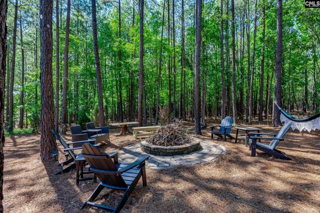 239 Pebblebranch Drive, Chapin, SC 29036