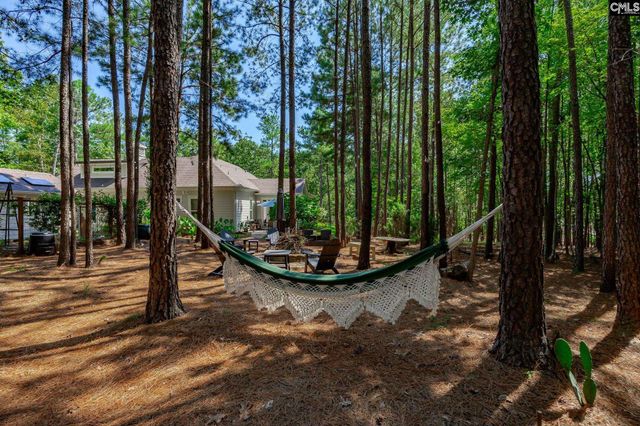 239 Pebblebranch Drive, Chapin, SC 29036