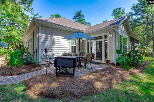 239 Pebblebranch Drive, Chapin, SC 29036