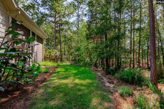 239 Pebblebranch Drive, Chapin, SC 29036