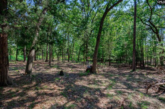 239 Pebblebranch Drive, Chapin, SC 29036