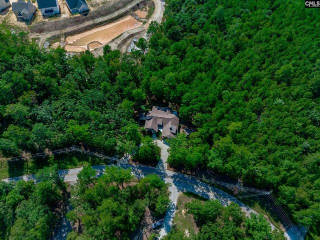 239 Pebblebranch Drive, Chapin, SC 29036