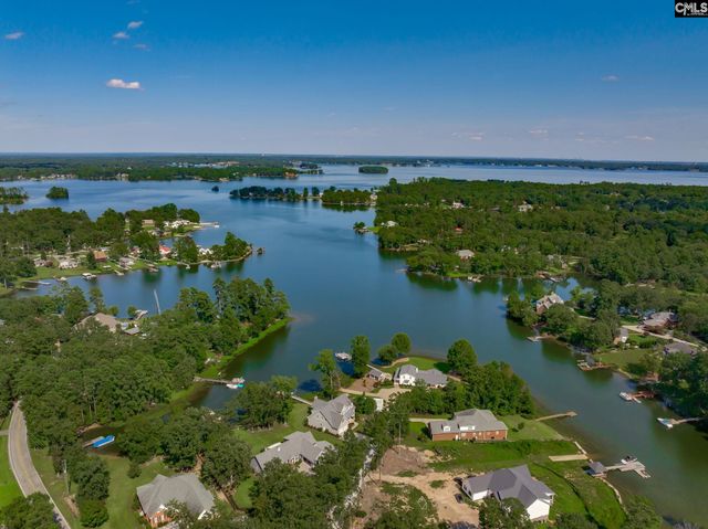 239 Pebblebranch Drive, Chapin, SC 29036
