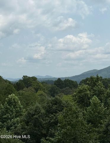 65 Ellis Lane, Murphy, NC 28906