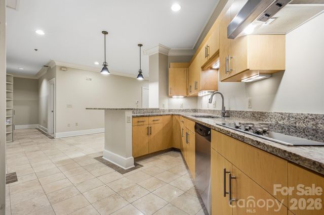 21 Battery Park Avenue 307, Asheville, NC 28801