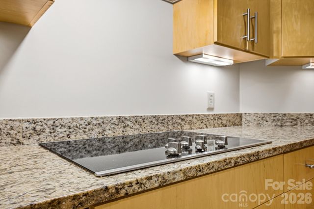 21 Battery Park Avenue 307, Asheville, NC 28801