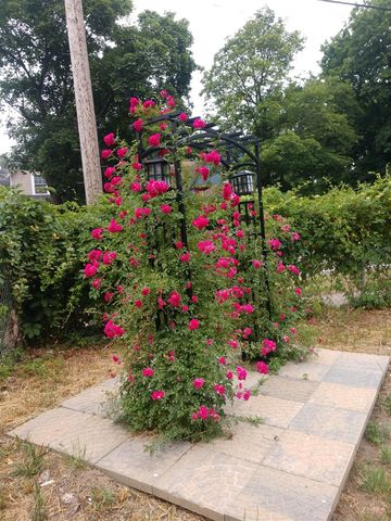 1012 Mills Street, Kalamazoo, MI 49001