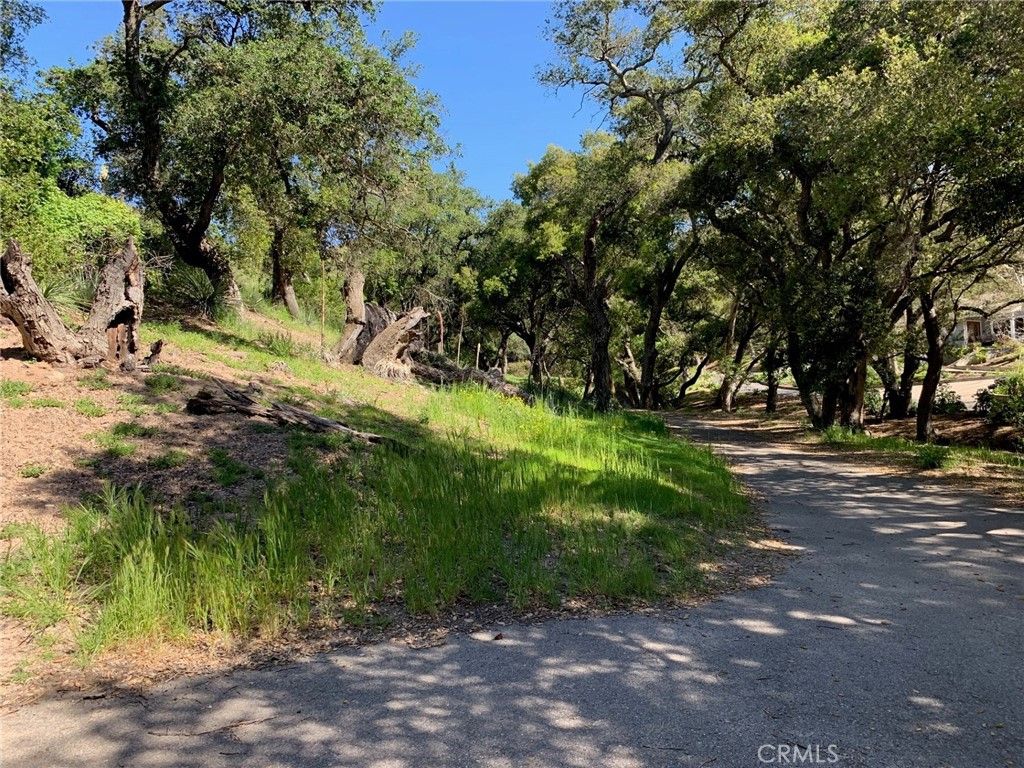 30271 Old Stage Road, Trabuco Canyon, CA 92676 — photo 4
