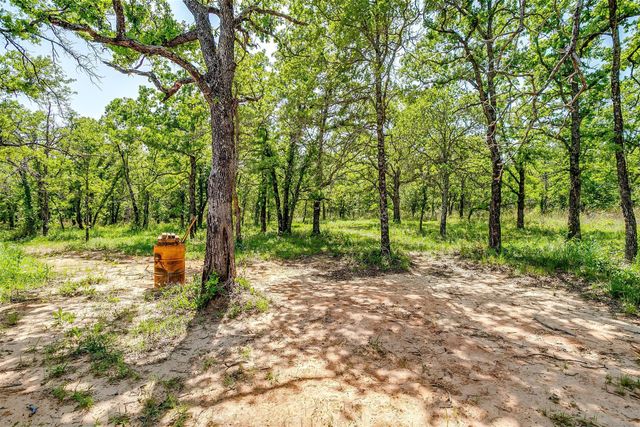 313 Broken Rd Road, Perrin, TX 76486