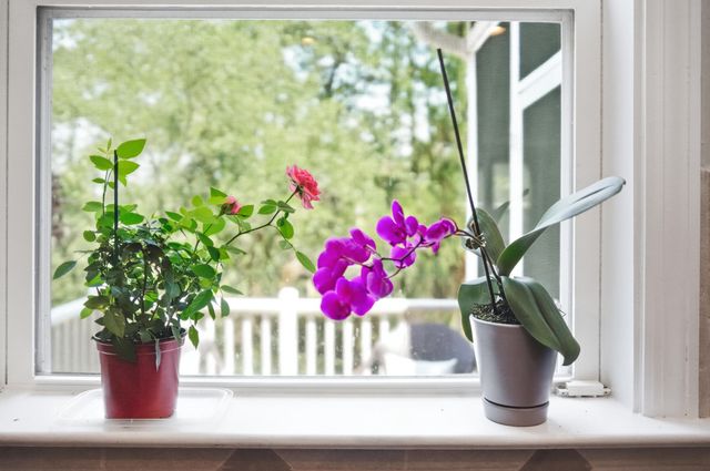 216 Fair Sailing Road 30, Mount Pleasant, SC 29466
