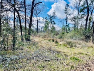 0 Old Highway 35, Livingston, TX 77351