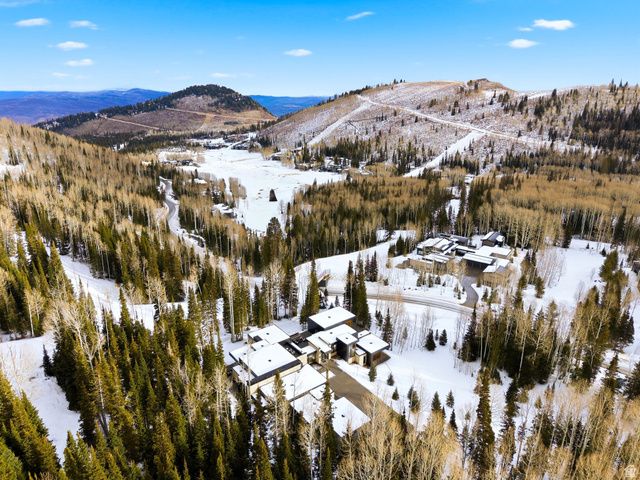 314 WHITE PINE CANYON RD, Park City, UT 84060
