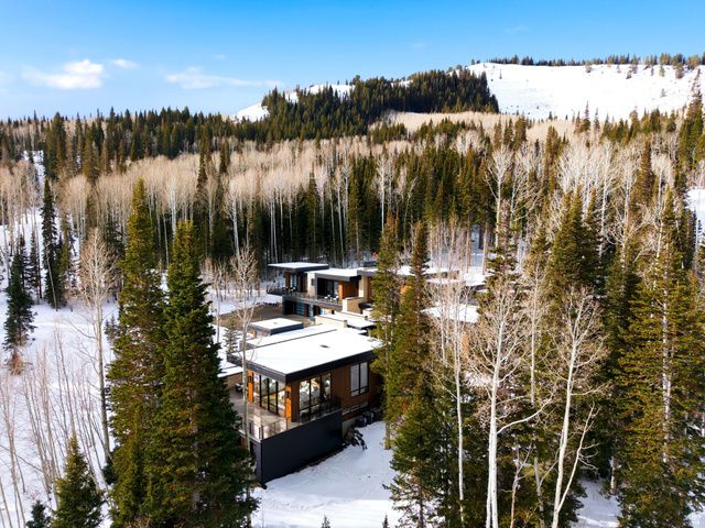 314 WHITE PINE CANYON RD, Park City, UT 84060