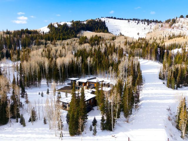 314 WHITE PINE CANYON RD, Park City, UT 84060