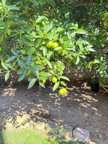 553 Hygeia Ave. Avenue, Encinitas, CA 92024