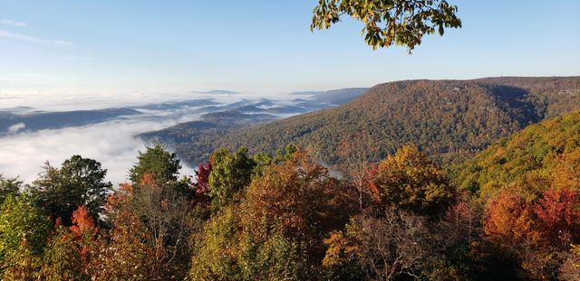 921 Rose Marie Court, Soddy Daisy, TN 37379
