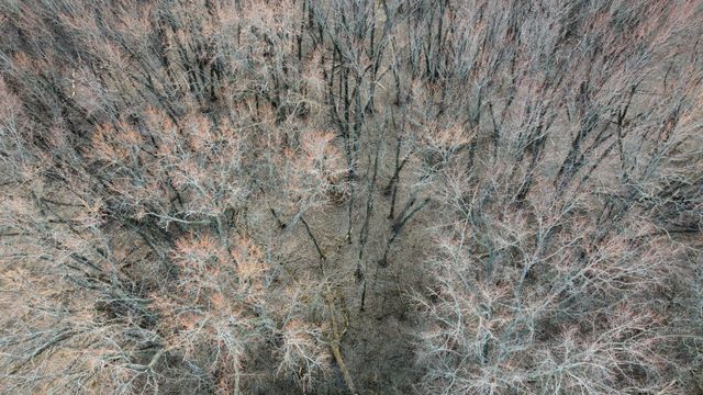 Lot 2 Palm Street, Mchenry, IL 60051