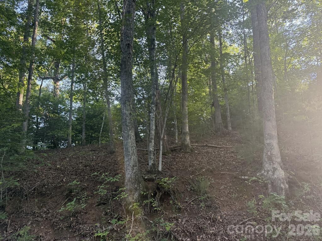 0 Canterbury Road, Cullowhee, NC 28723