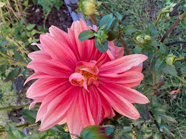 1875 Lake Ranch Road, Kissee Mills, MO 65680