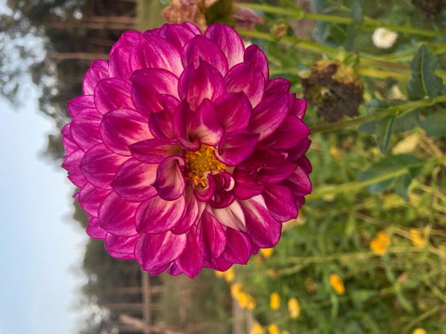 1875 Lake Ranch Road, Kissee Mills, MO 65680