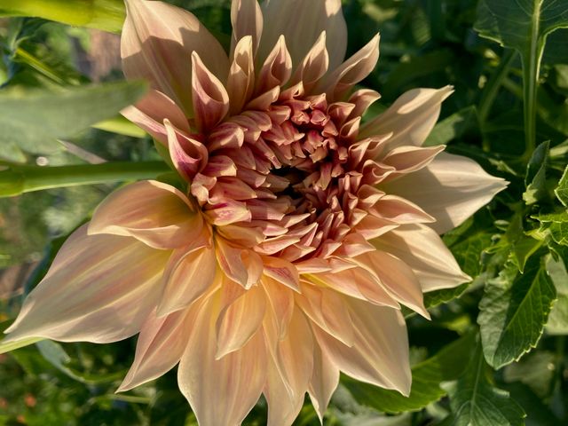 1875 Lake Ranch Road, Kissee Mills, MO 65680