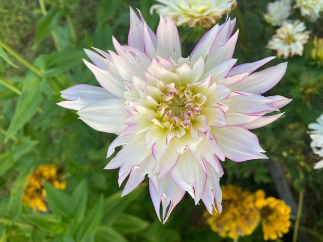 1875 Lake Ranch Road, Kissee Mills, MO 65680