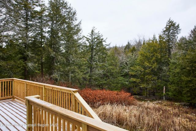 343 Dahlia Road, Livingston Manor, NY 12758