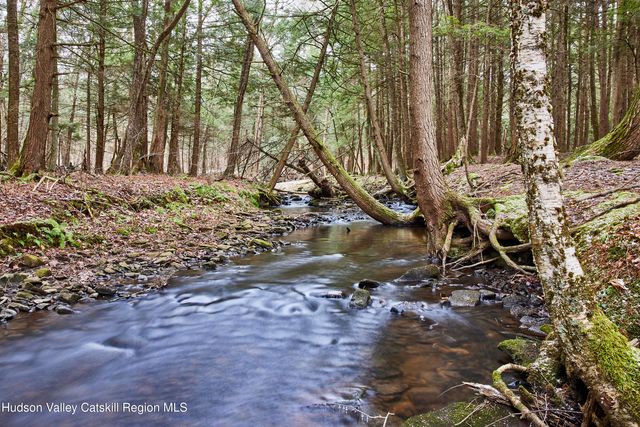 343 Dahlia Road, Livingston Manor, NY 12758