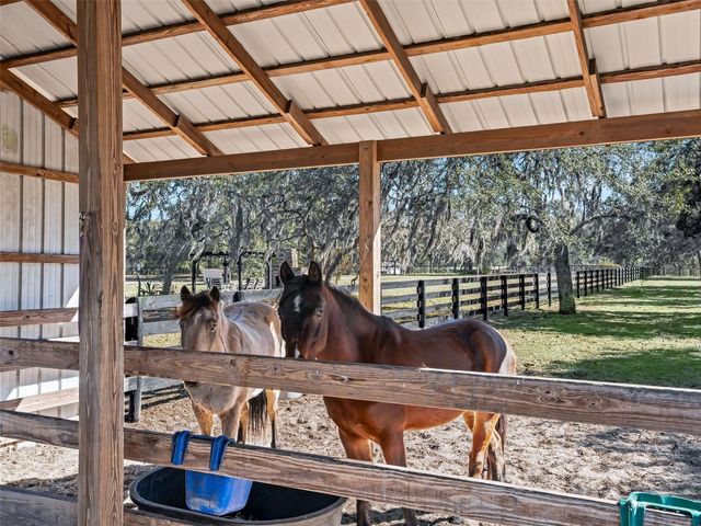 11330 E LEVY STREET, Williston, FL 32696