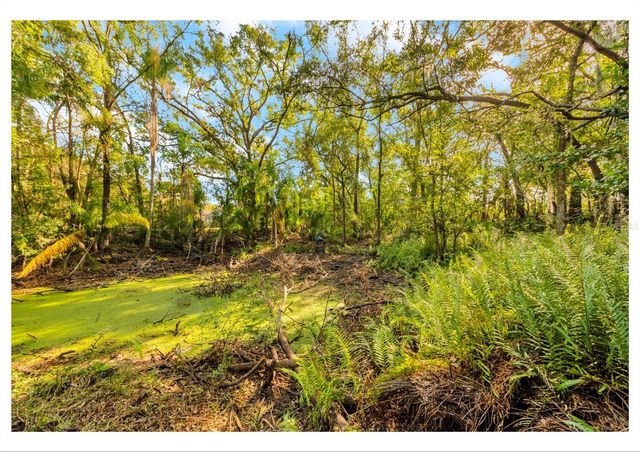 12805 FOREST HILLS DRIVE, Tampa, FL 33612